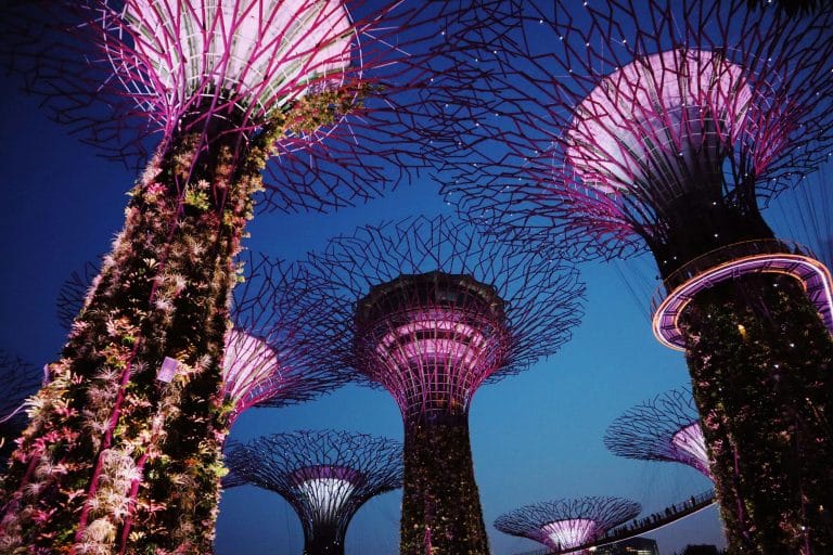 Singapore PDPA ISO 27001 Certification Gardens by the Bay