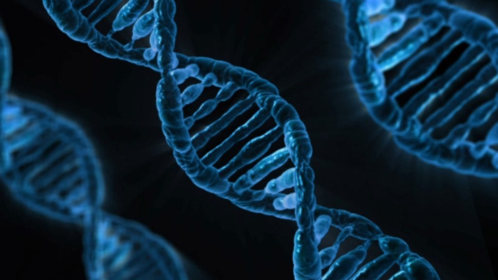 DNA Strand Understanding Health