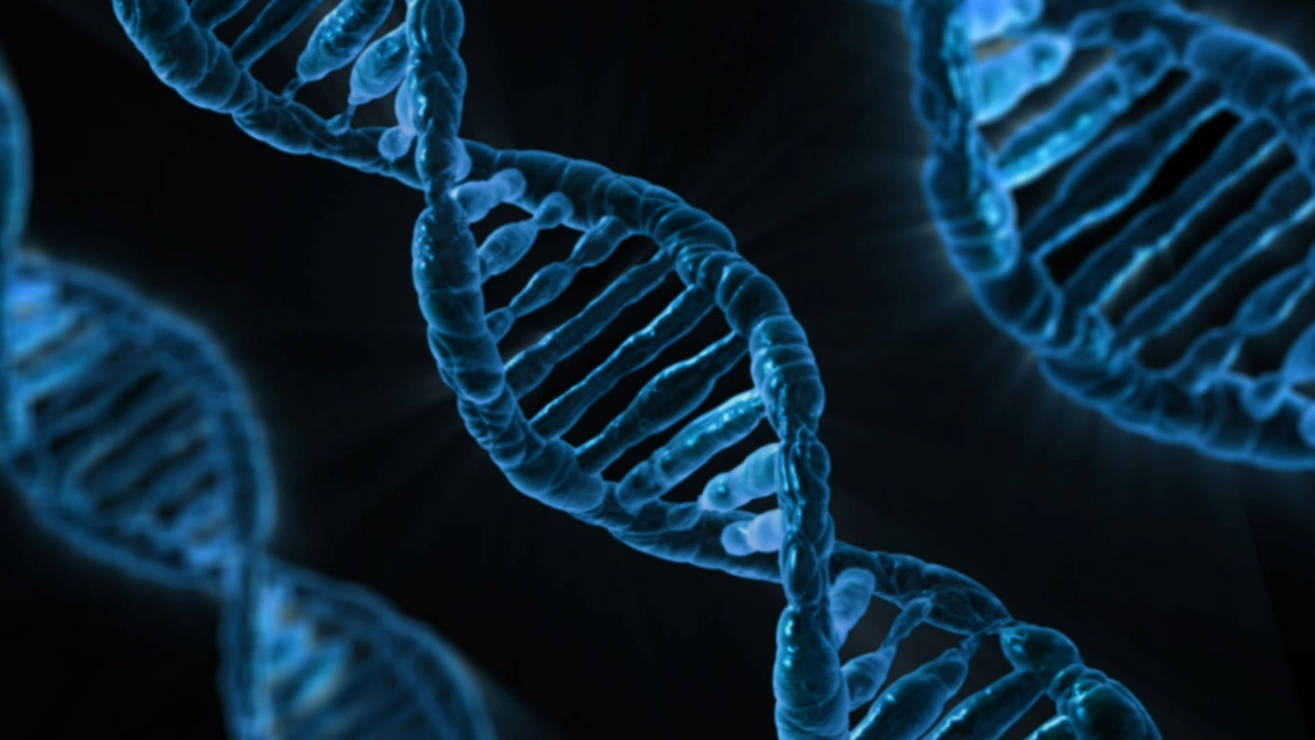 DNA Strand Understanding Health