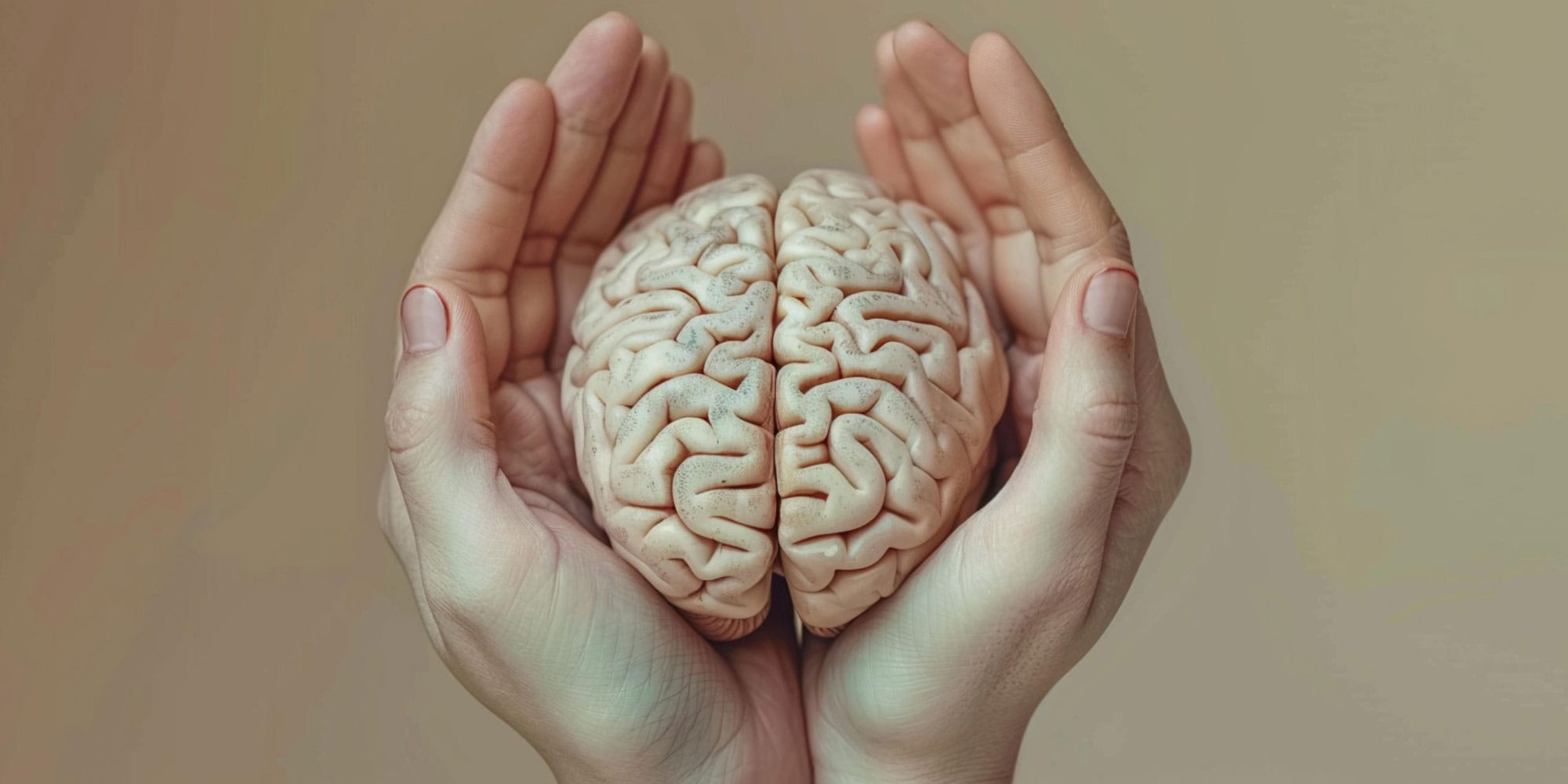 Healthy Brain Image