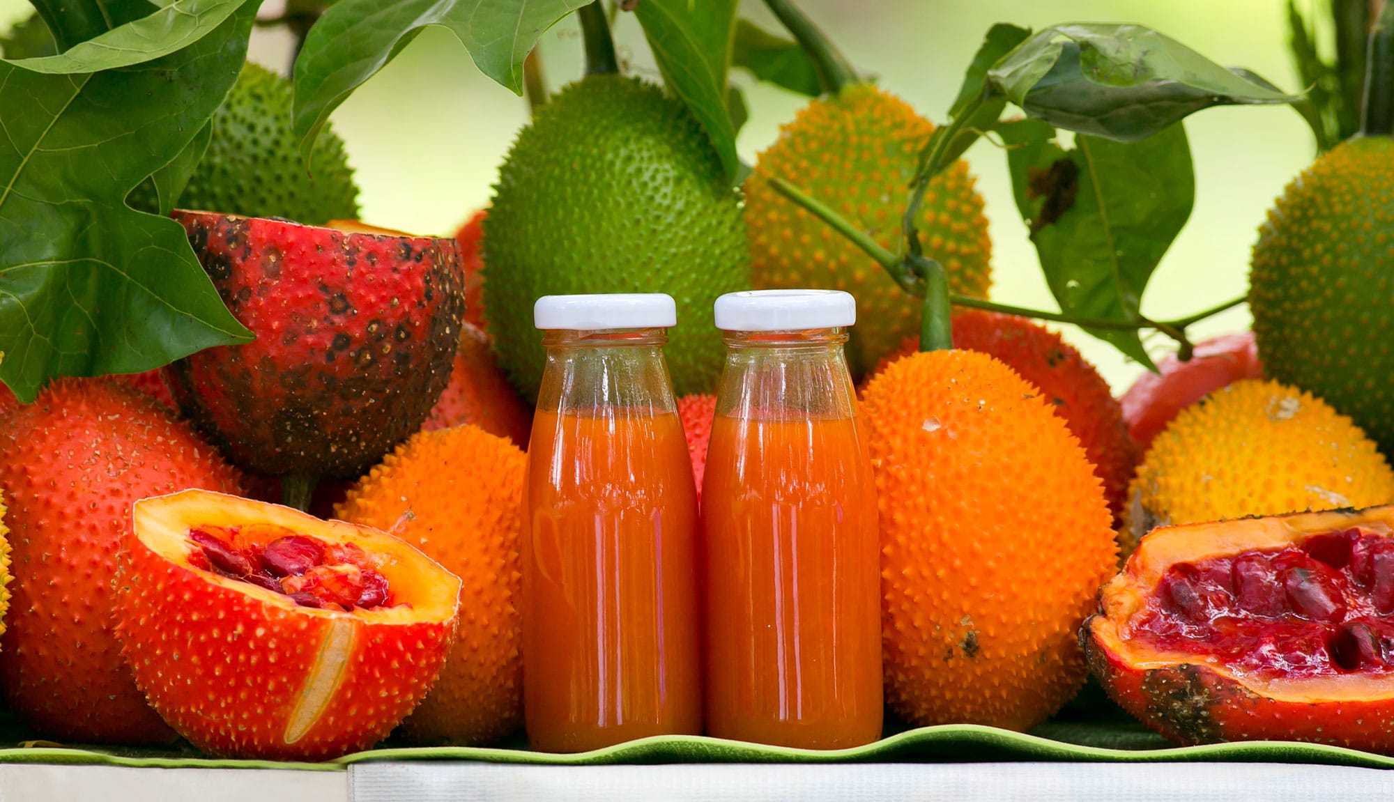 Beta Carotene Gac Fruit Image